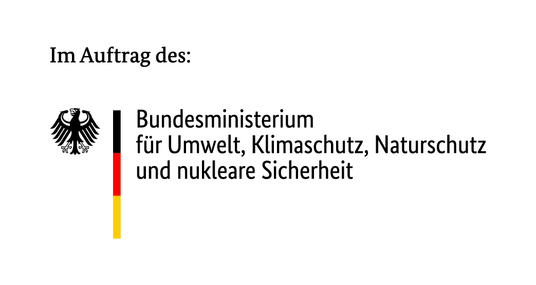 BMUKN_Auftrag_Logo_Druck_RGB